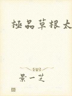 极品草根太子