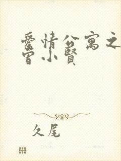 爱情公寓之极品曾小贤