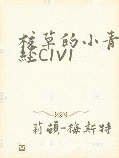 校草的小青梅不经C1V1