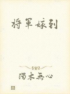 将军嫁到