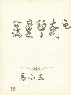 公么的大龟强大满足了我