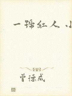 一号红人 小说