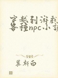 穿越到游戏里和各种npc小说