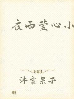 夜雨莹心小说