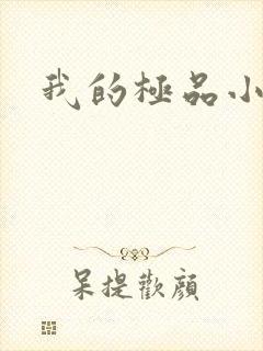 我的极品小姨