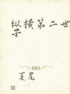 纵横第二世界宽子