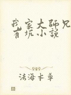 我家大师兄脑子有坑小说