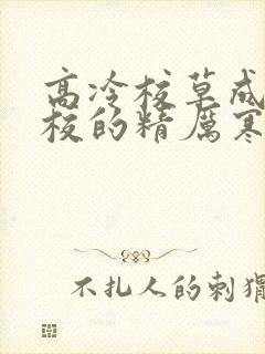 高冷校草成为全校的精厉寒小说