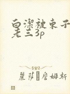 白洁被东子老二老三3p