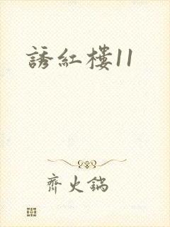 诱红楼11