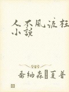 人不风流枉少年小说