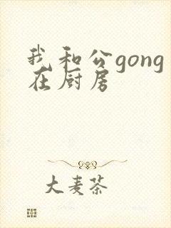 我和公gong在厨房