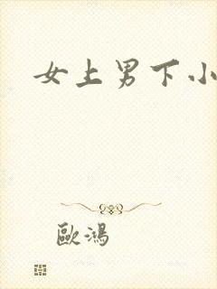 女上男下小说