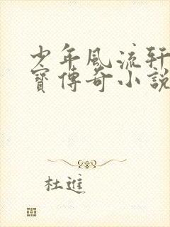 少年风流轩辕大宝传奇小说