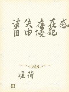 消失存在感消失自由侵犯