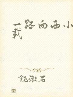 一路向西小说下载