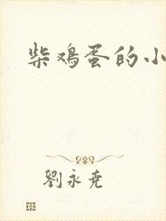 柴鸡蛋的小说