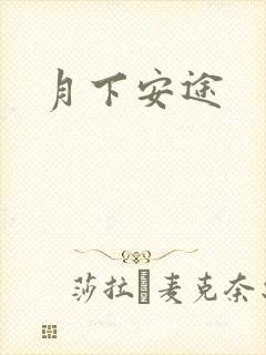 月下安途