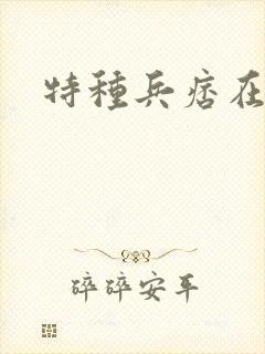特种兵痞在都市