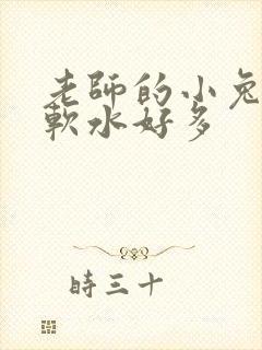 老师的小兔子好软水好多