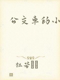 公交车的小说