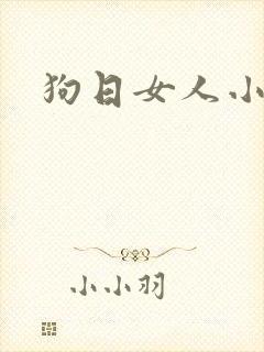 狗日女人小说