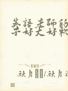 英语老师的小兔子好大好软水