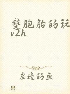 双胞胎的玩具1v2h