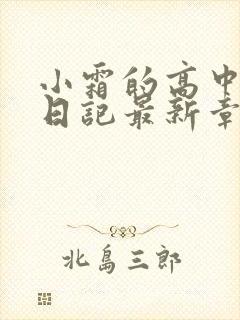 小霜的高中成长日记最新章节