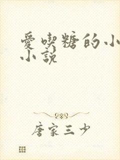 爱吃糖的小麻雀小说