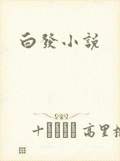 白发小说