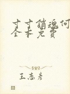 寸寸销魂何生祥全本免费