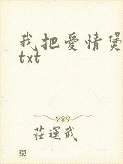 我把爱情煲成汤txt