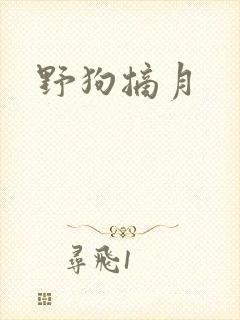 野狗摘月