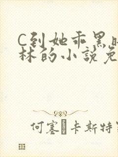 C到她乖黑暗森林的小说免费