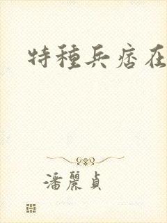 特种兵痞在都市