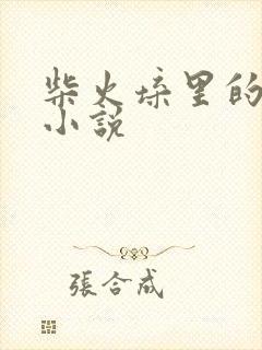 柴火垛里的疯狂小说