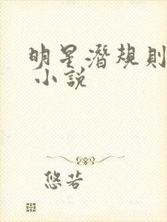 明星潜规则之皇 小说