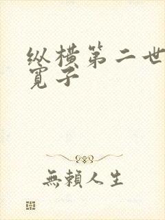 纵横第二世界 宽子