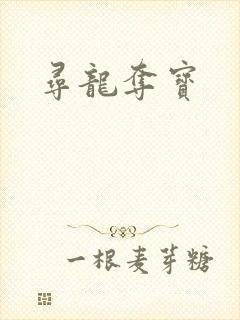寻龙夺宝