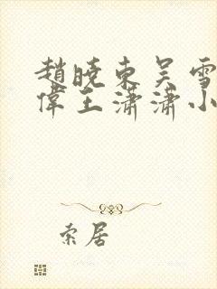 赵晓东吴雪晴郑伟王潇潇小说名字