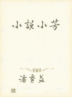 小说小芳