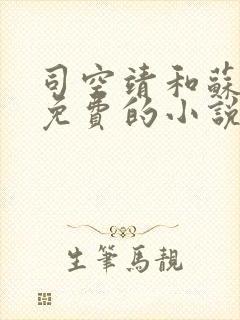 司空靖和苏月汐免费的小说笔趣阁