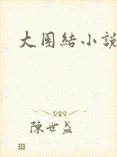 大团结小说阅读