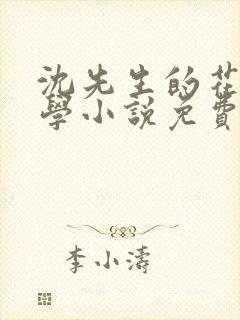 沈先生的花式教学小说免费