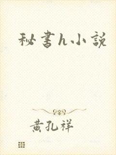秘书h小说