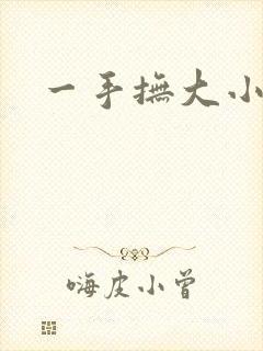 一手抚大小说