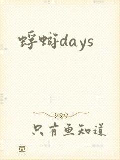 蜉蝣days