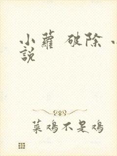 小萝 破除 小说