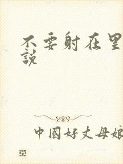 不要射在里面小说